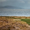 The site’s marram grass has been used to define golf holes (Photo: Will Watt)