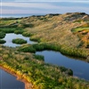 The par-three seventh hole plays over wetlands to a green set into the side of a dune (Photo: Jacob Sjöman)