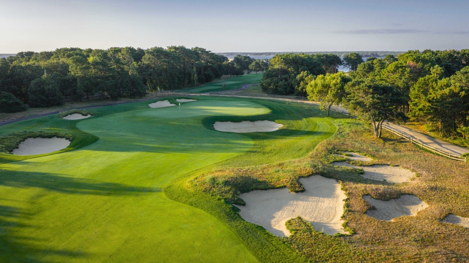 The project has seen hundreds of pine trees replaced with native vegetation (Photo: Patrick Koenig)