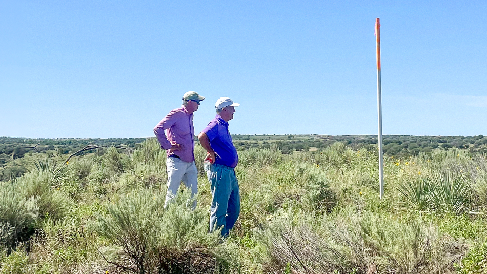 Let’s work together