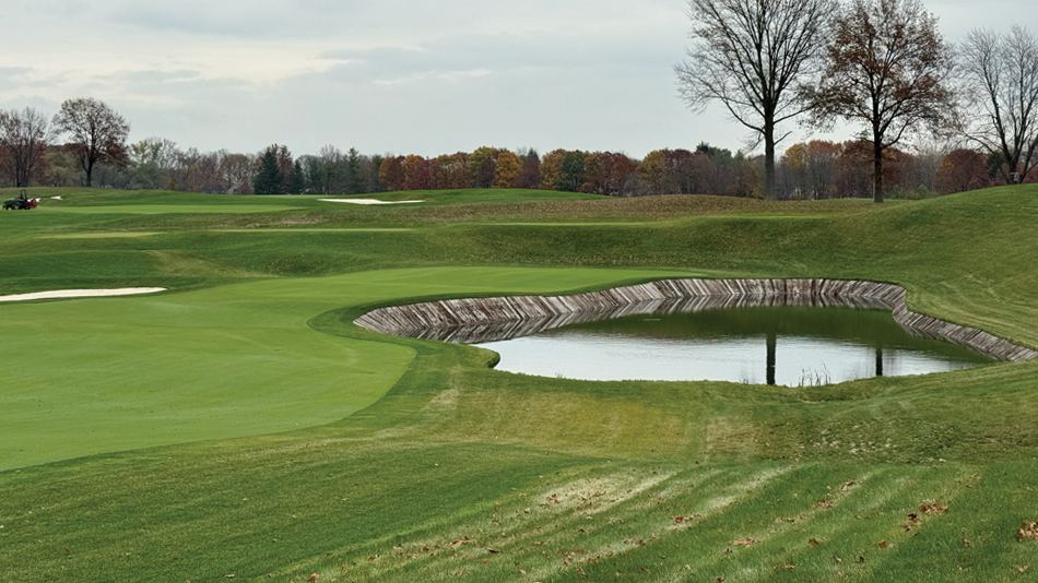 Profile Renaissance Doak Renovation Crooked Stick Dye