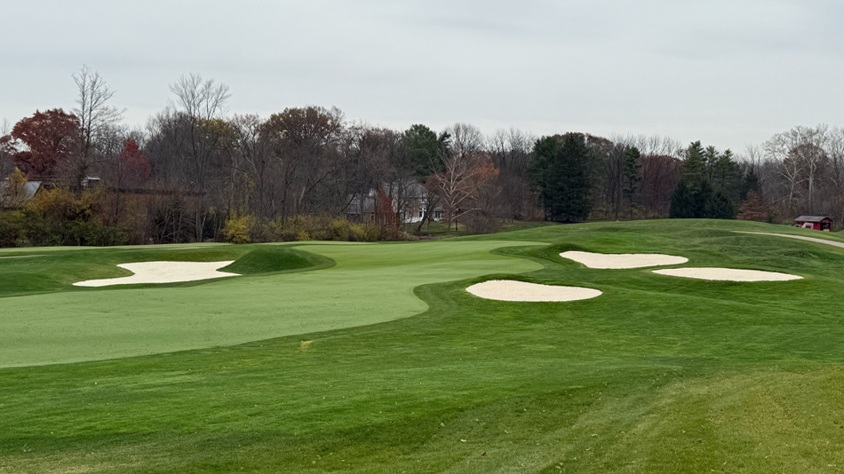Profile Renaissance Doak Renovation Crooked Stick Dye