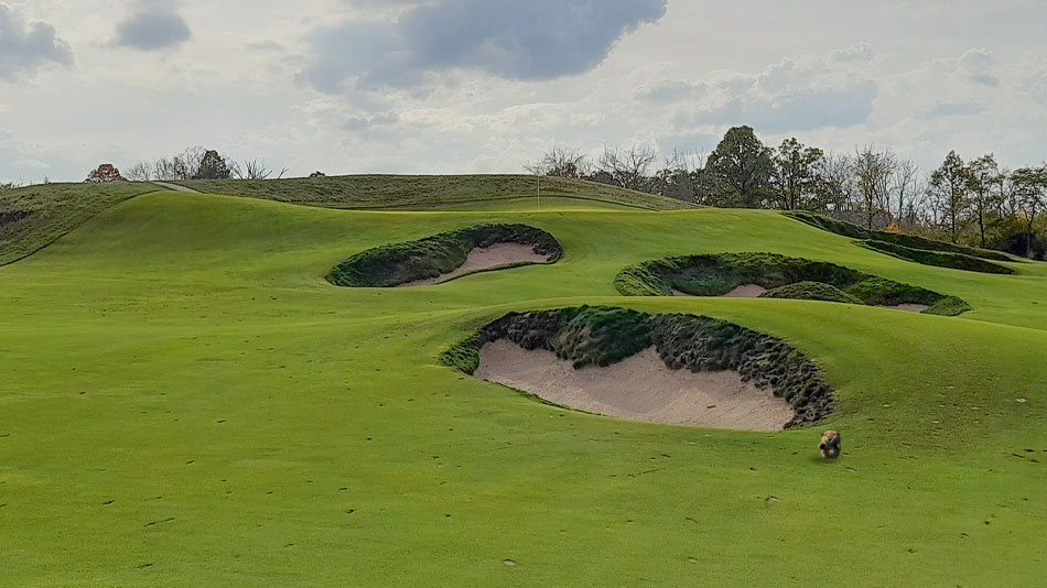 Gopher Watch Competition – April 2024